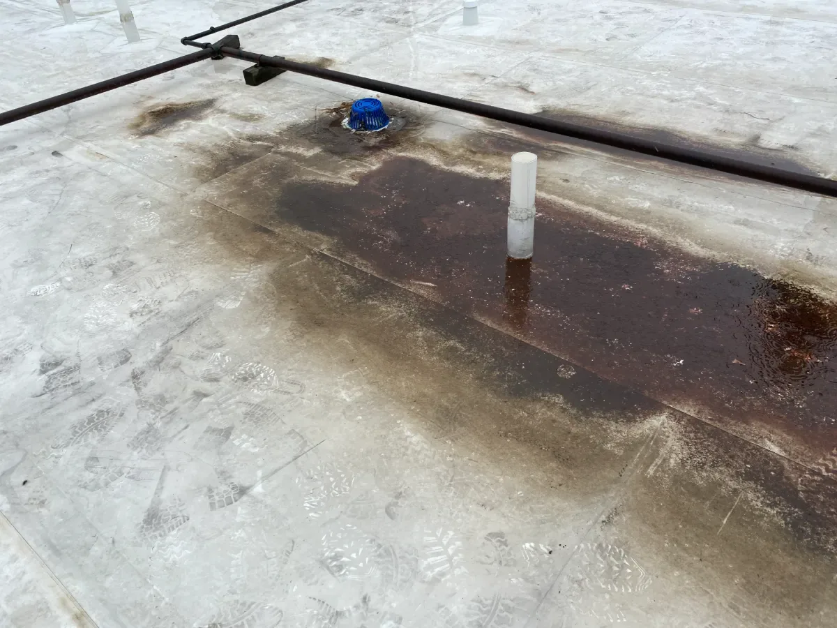 Ponding Water Roof Repair in Temple, TX